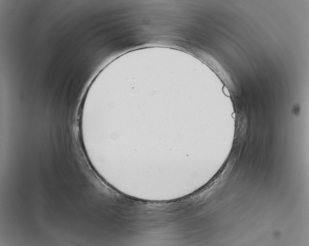 X0000116860908201001191659