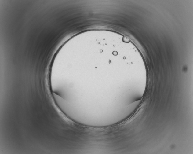 X0000116860909201001191659