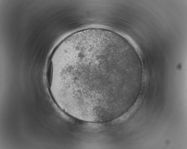 X0000116860910201001191659