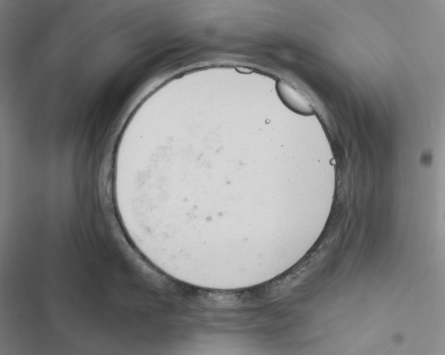 X0000116860911201001191659