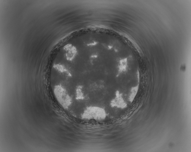 X0000116860919201001191658