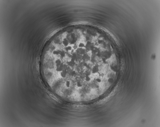 X0000116860921201001191658