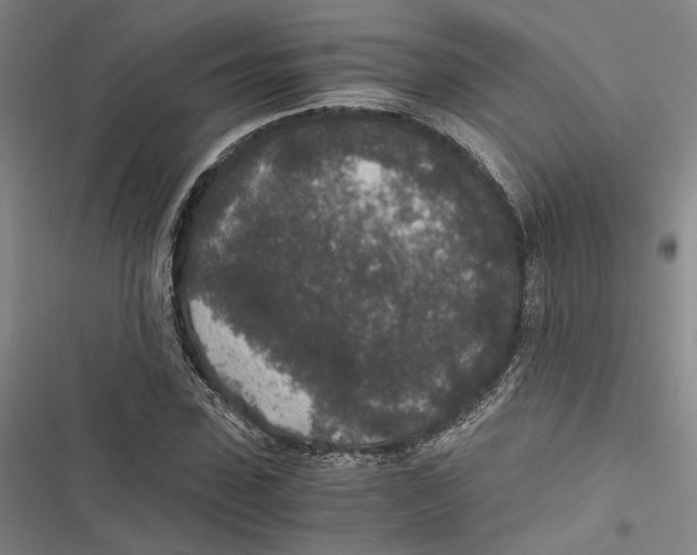 X0000116860923201001191658