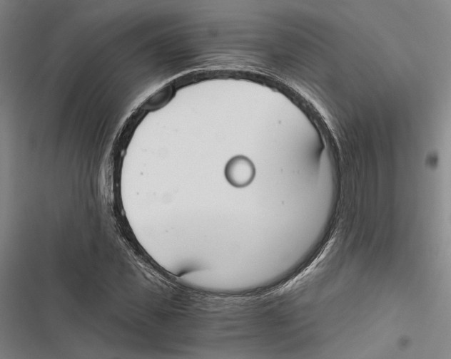 X0000116860925201001191658