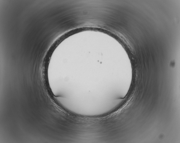 X0000116860926201001191658