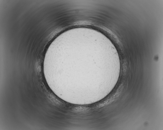 X0000116860929201001191658