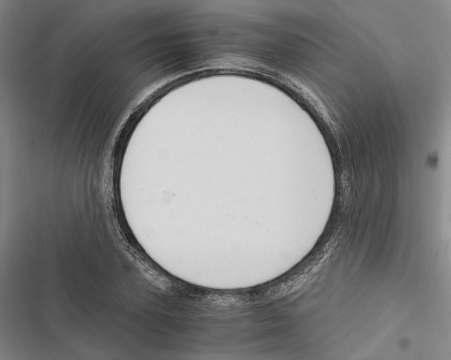 X0000116860931201001191658