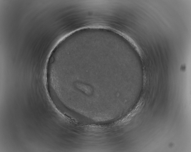 X0000116860935201001191659