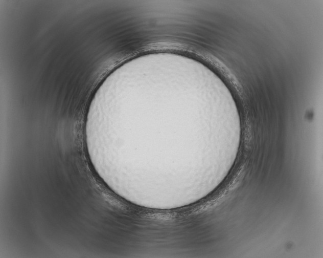 X0000116860937201001191659