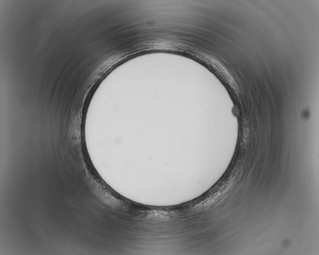 X0000116860938201001191659