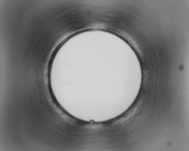 X0000116860939201001191659