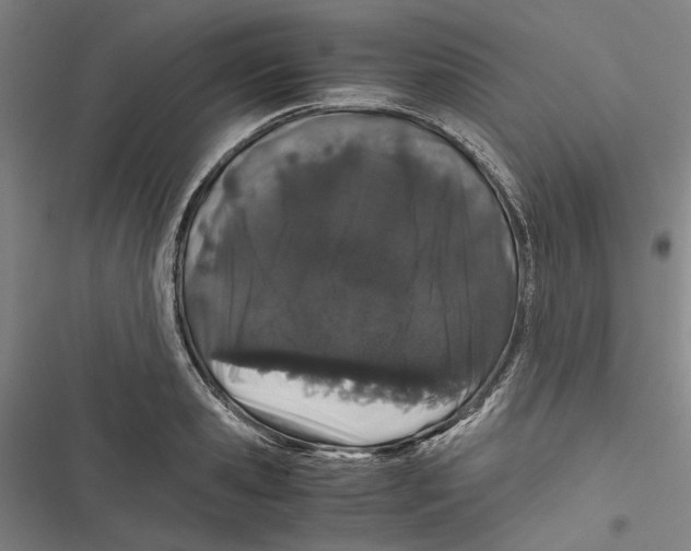 X0000116860941201001191659