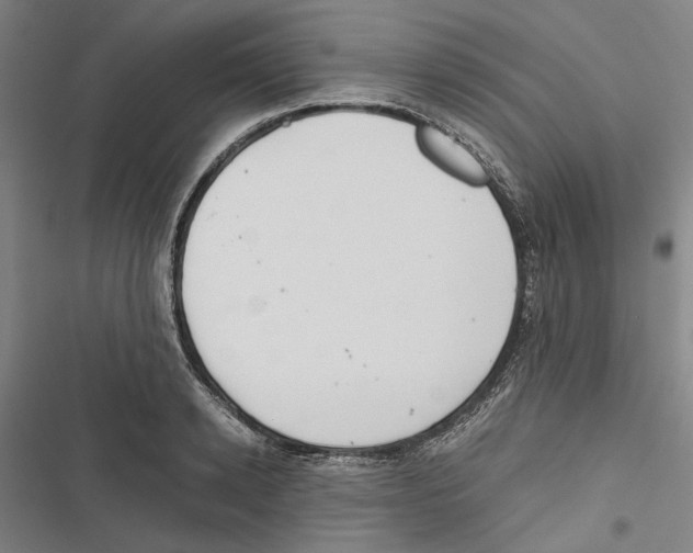 X0000116860942201001191659