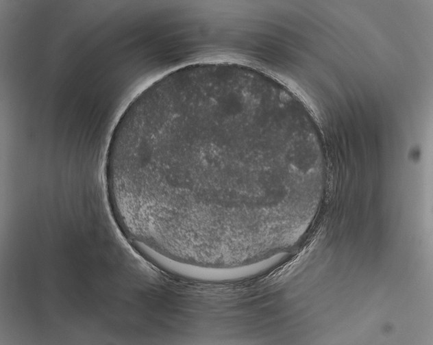 X0000116860943201001191659