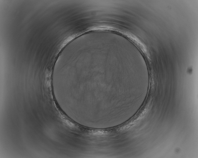 X0000116860945201001191659