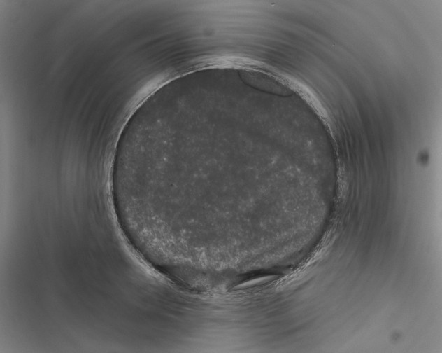 X0000116860946201001191659