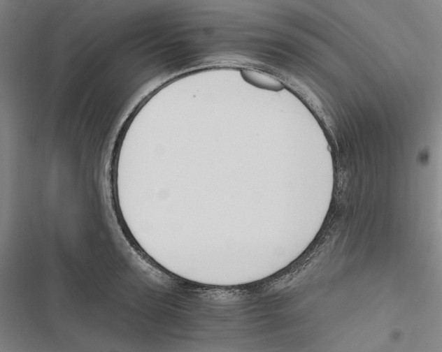 X0000116860947201001191659