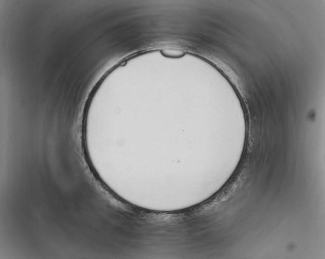 X0000116860949201001191659