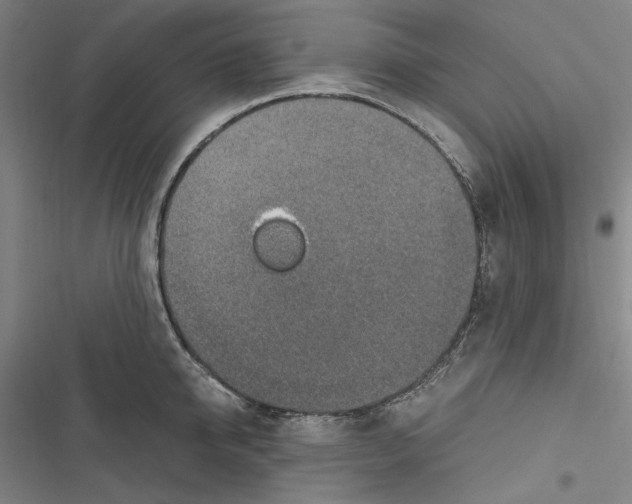 X0000116860950201001191659