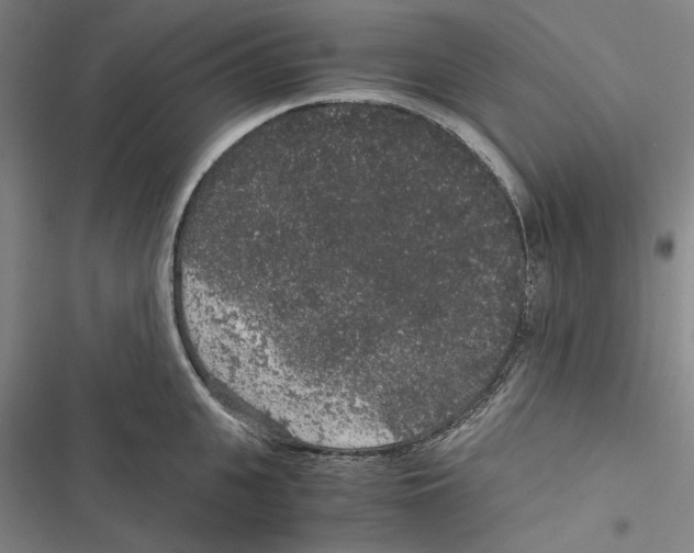 X0000116860951201001191659