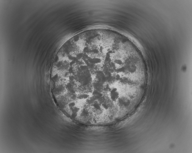 X0000116860953201001191659