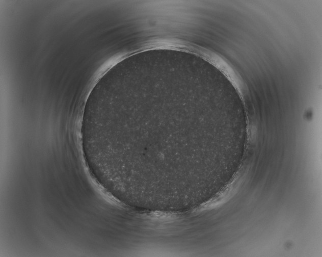 X0000116860954201001191659