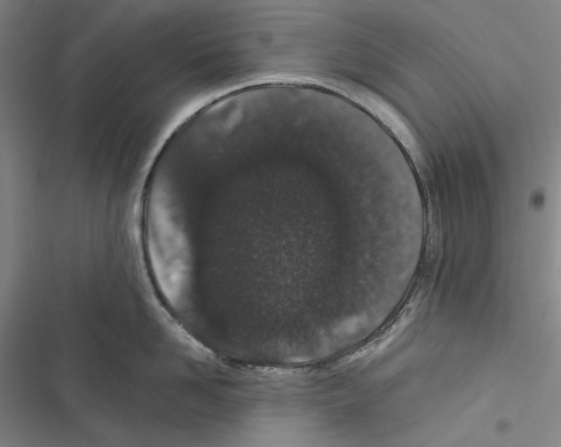 X0000116860958201001191659