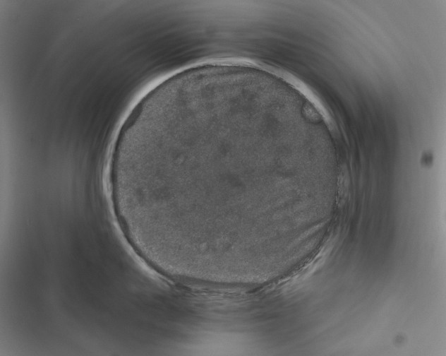 X0000116860959201001191659