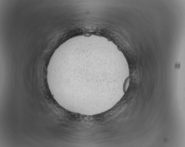 X0000116860961201001191658