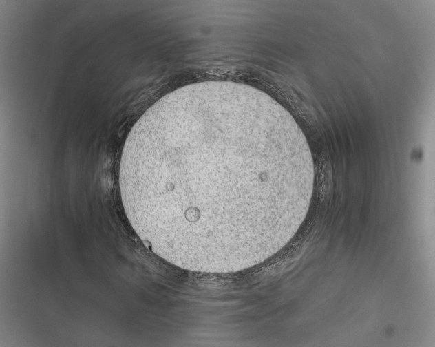 X0000116860962201001191658