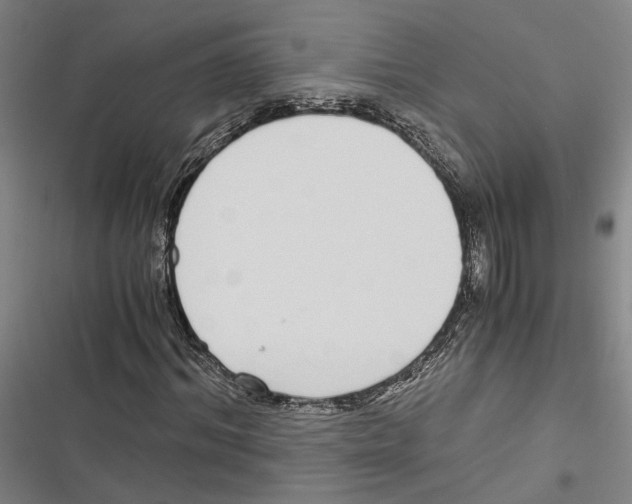 X0000116860964201001191658