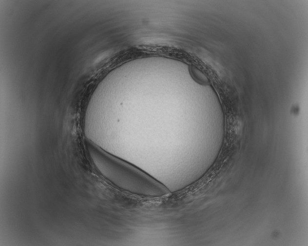 X0000116860965201001191658