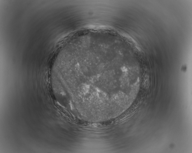 X0000116860966201001191658