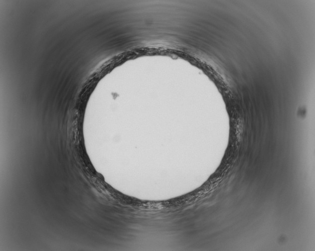 X0000116860968201001191658