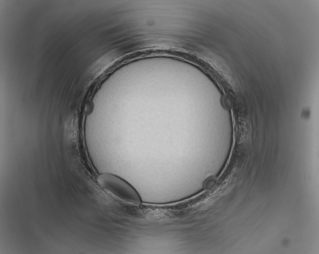 X0000116860969201001191658