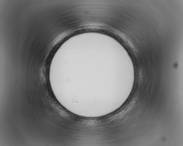 X0000116860970201001191658