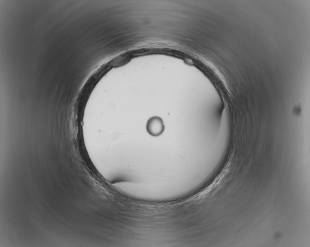 X0000116860973201001191658