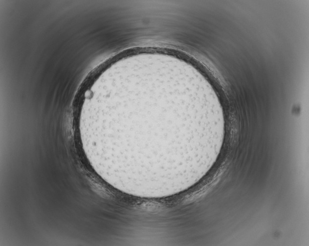 X0000116860974201001191658