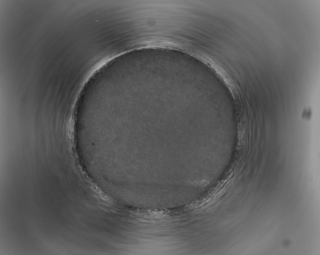 X0000116860975201001191658