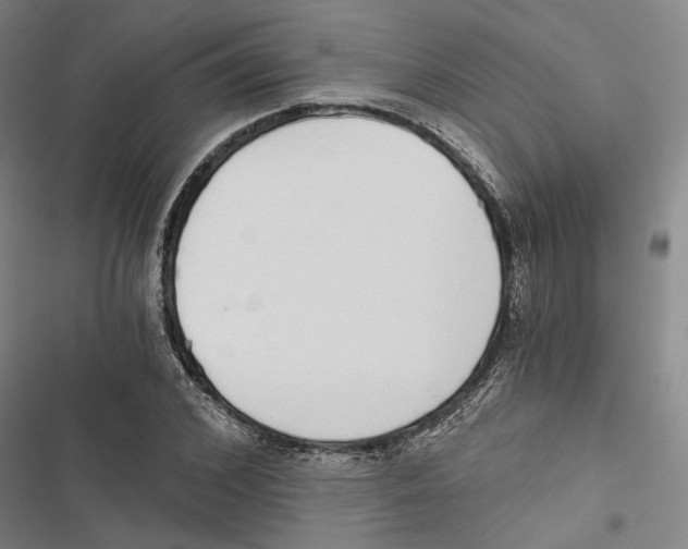 X0000116860976201001191658