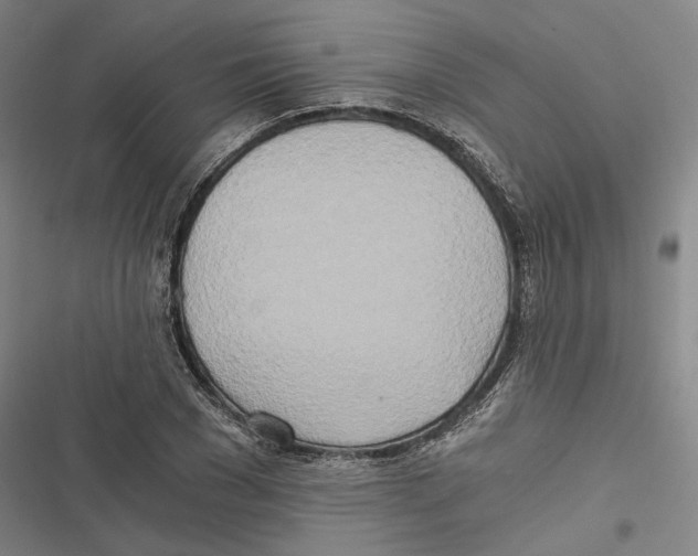 X0000116860977201001191658