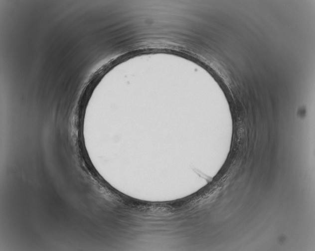 X0000116860979201001191658