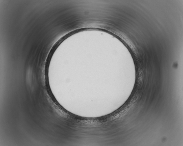 X0000116860980201001191658