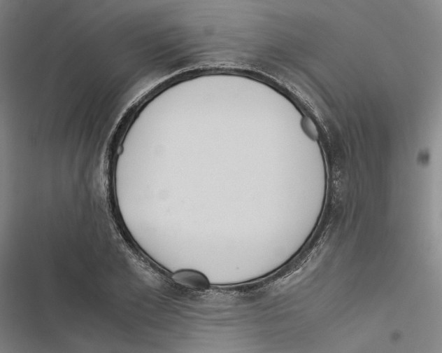 X0000116860981201001191658