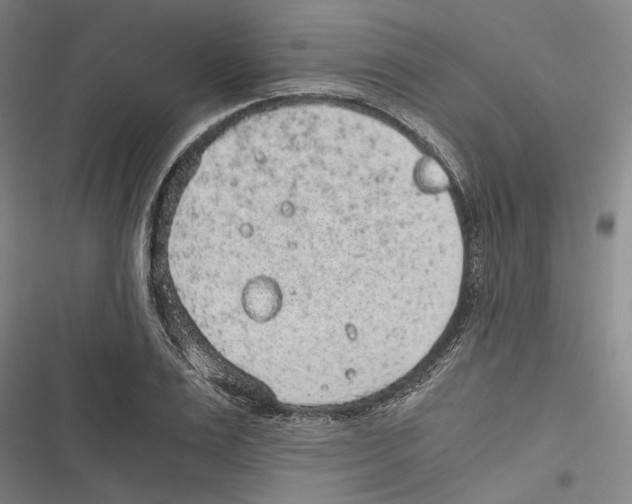 X0000116860983201001191658