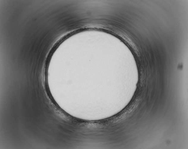 X0000116860984201001191658