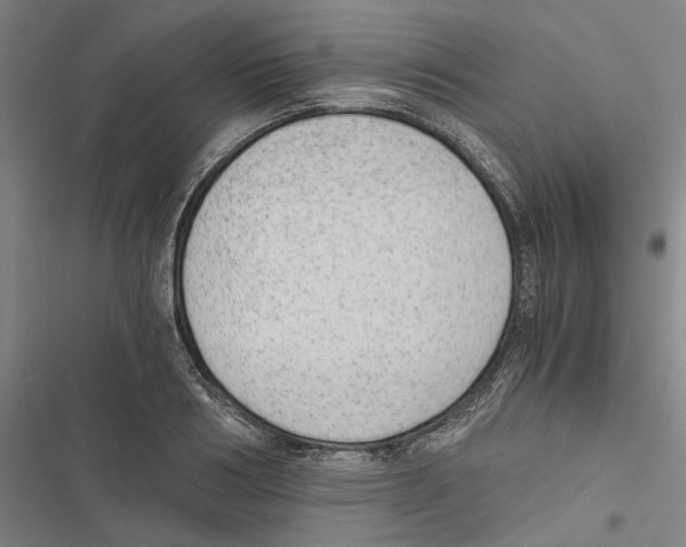 X0000116860986201001191658