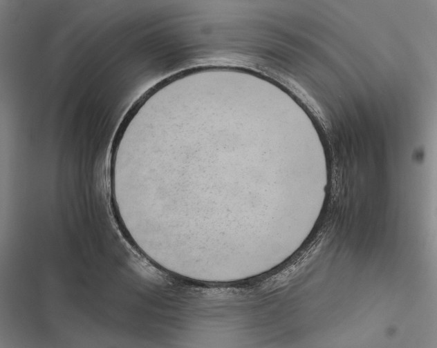 X0000116860988201001191658