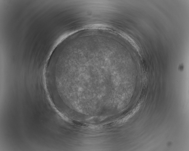 X0000116860989201001191658