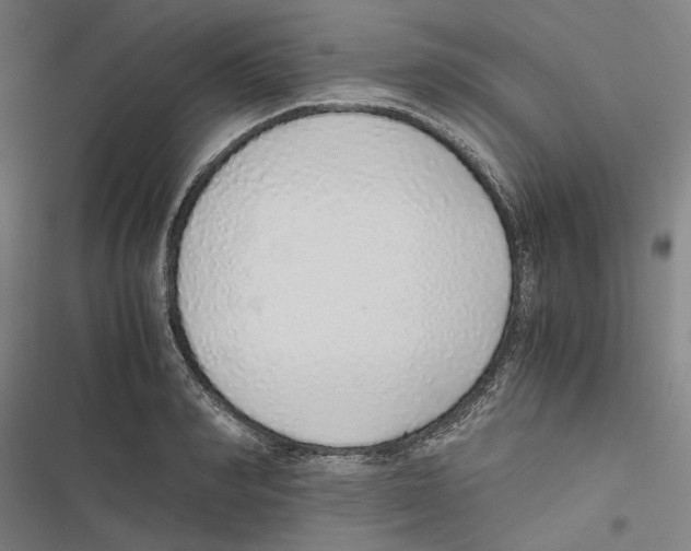 X0000116860990201001191658